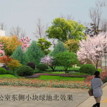  武汉海林尚阁景观公司 主营 园林设计 园林施工图