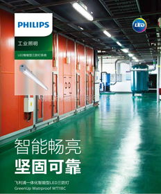 飞利浦wt118c 一体化led三防支架灯