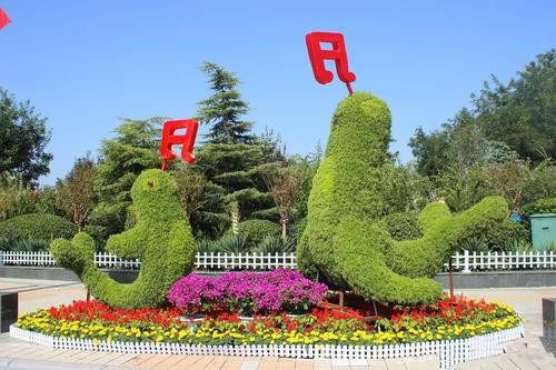 成都五色草雕塑专业定制厂家 五色草绿雕造型可来图定制保质保量