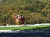 武汉大型景观雕塑制作公司推荐及景观工程服务导览