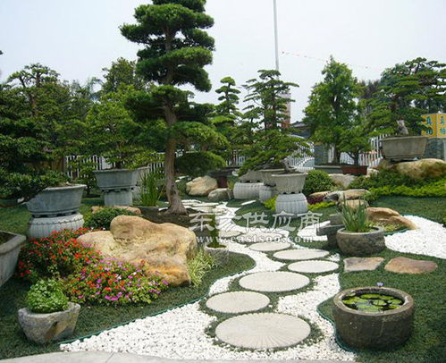 合肥道路景观绿化工程施工 安徽天伦市政建设公司的专业实践