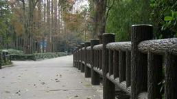 南京艺金园景观工程的产品特点