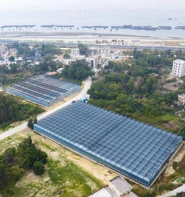 茂名西葛“百千万工程”示范点 新晋“城市阳台”网红打卡地