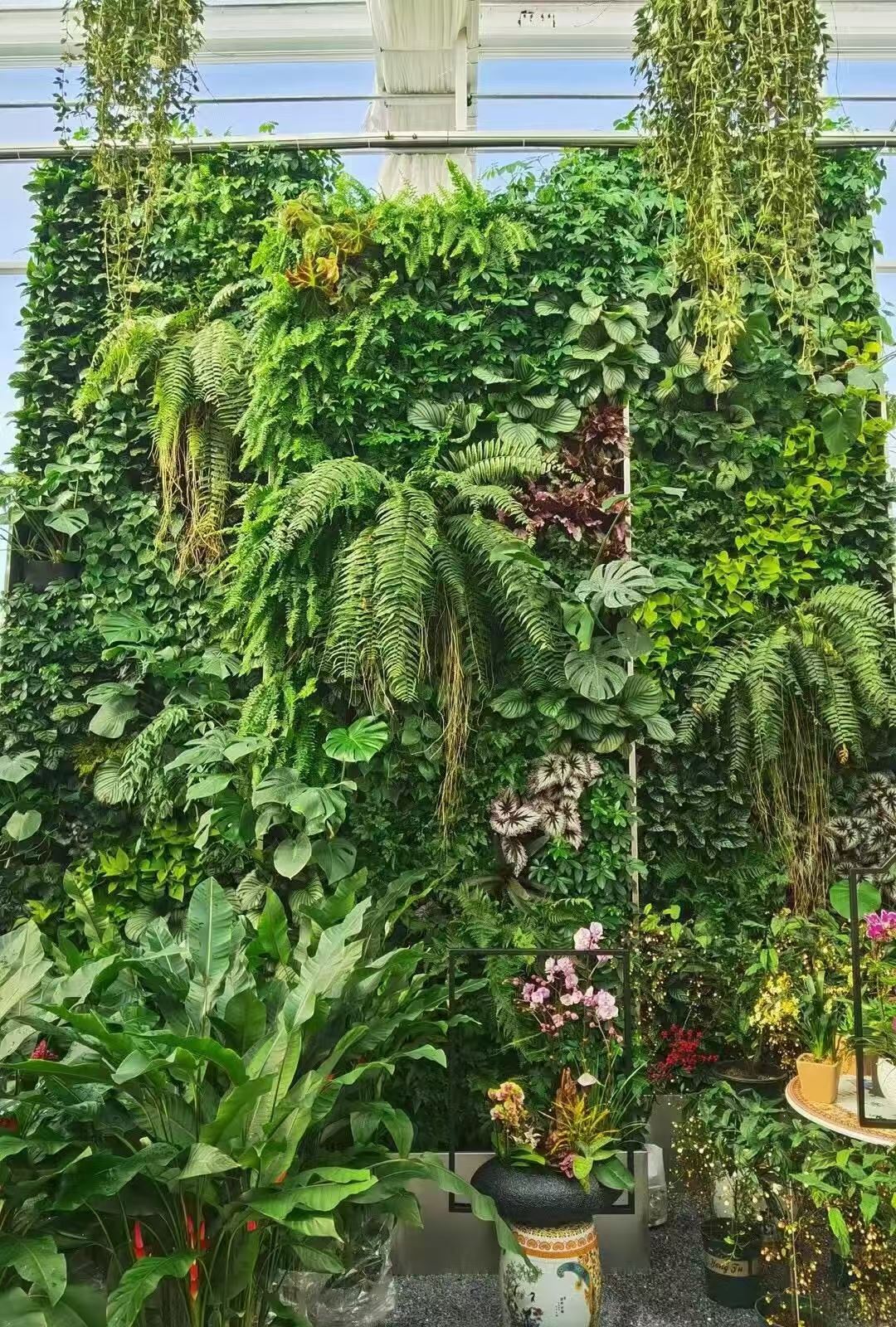 浙江绿墙植物工厂批发 引领现代景观工程的绿色新风尚